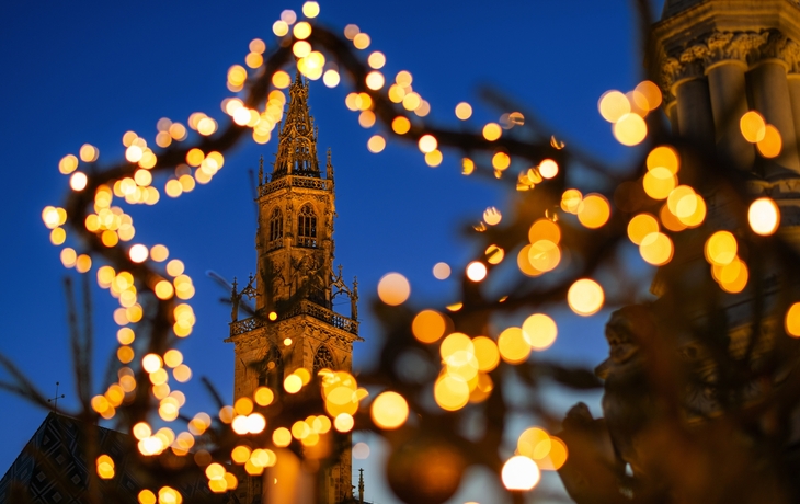 © Copyright (c) 2023 Luca Lorenzelli/Shutterstock.  No use without permission.