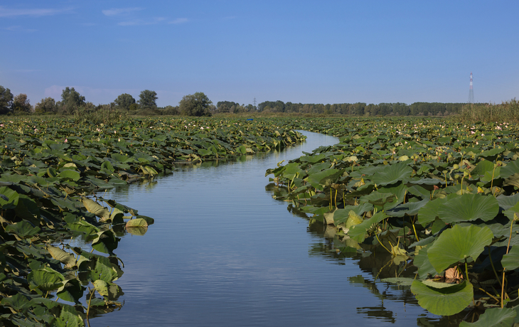 © trabantos/Shutterstock
