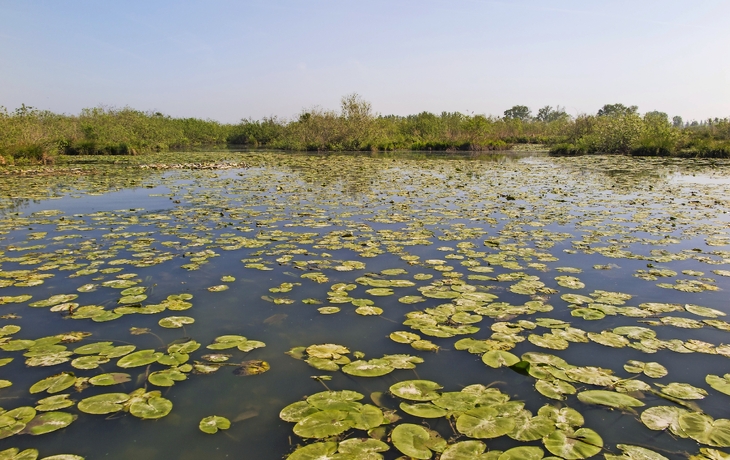 © trabantos/Shutterstock