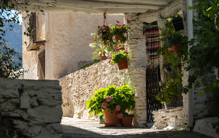 © Frank Fischbach/Shutterstock