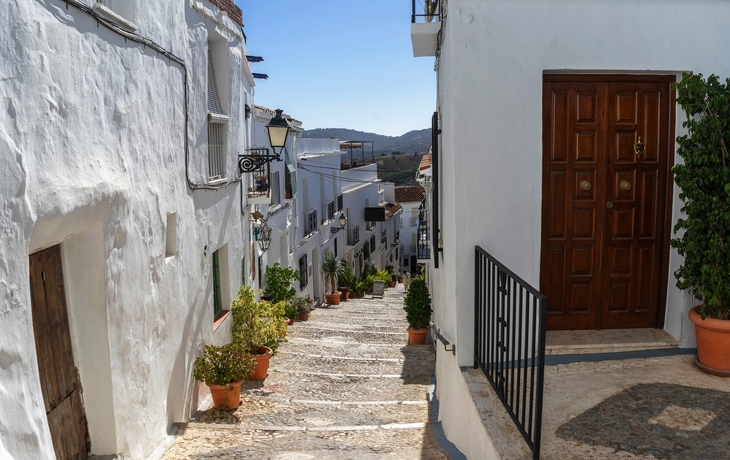 © Manoli Perez/Shutterstock