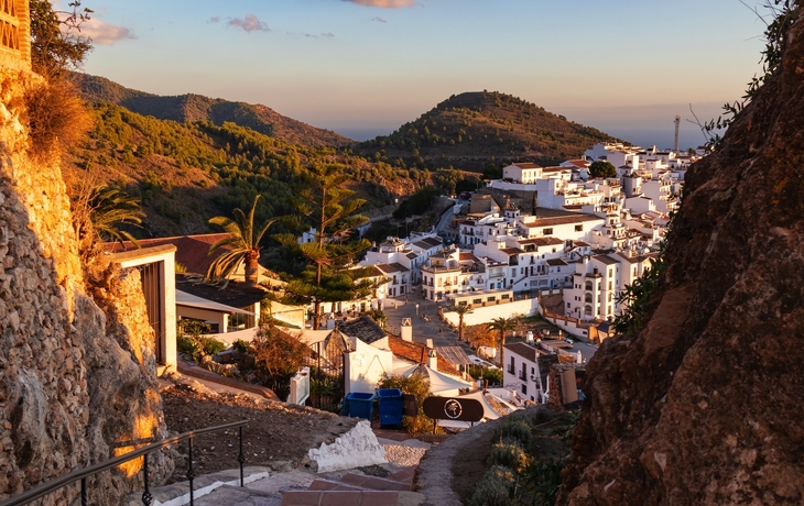 © Manoli Perez/Shutterstock