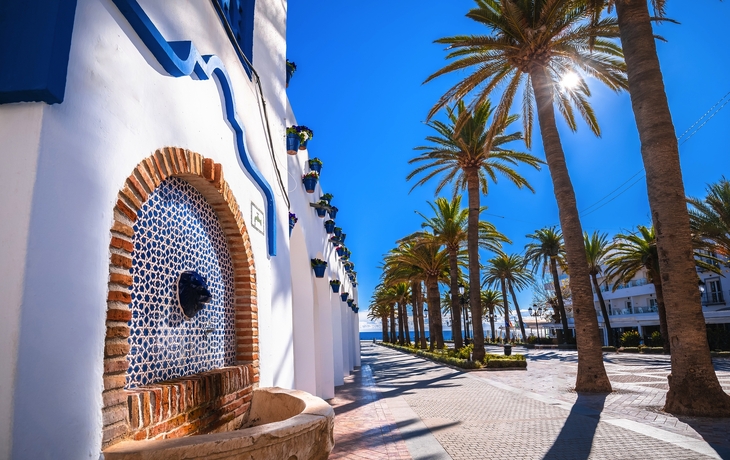 © Manoli Perez/Shutterstock