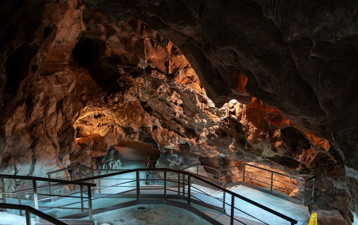 © Manoli Perez/Shutterstock