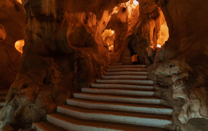 © Manoli Perez/Shutterstock