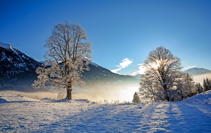 Verschneite Landschaft mit zwei Bäumen vor Bergkulisse im Sonnenlicht. - © ah_fotobox - stock.adobe.com