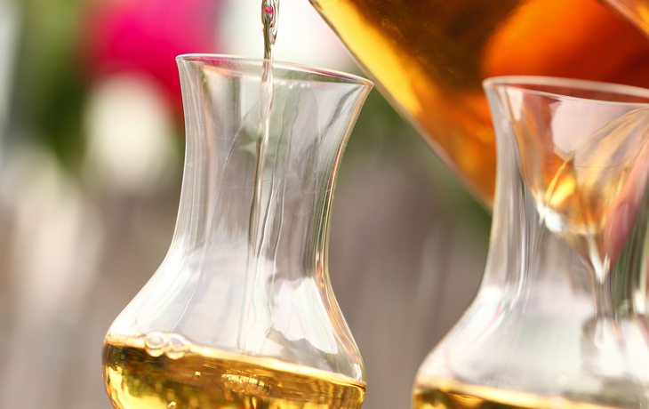 Verschneite Landschaft mit zwei Bäumen vor Bergkulisse im Sonnenlicht. - © ah_fotobox - stock.adobe.com