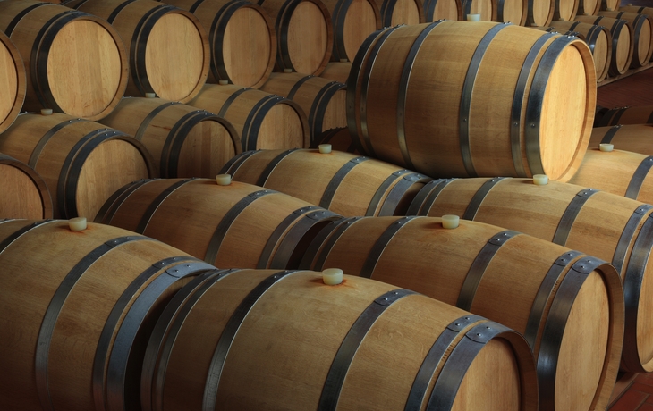 Verschneite Landschaft mit zwei Bäumen vor Bergkulisse im Sonnenlicht. - © ah_fotobox - stock.adobe.com