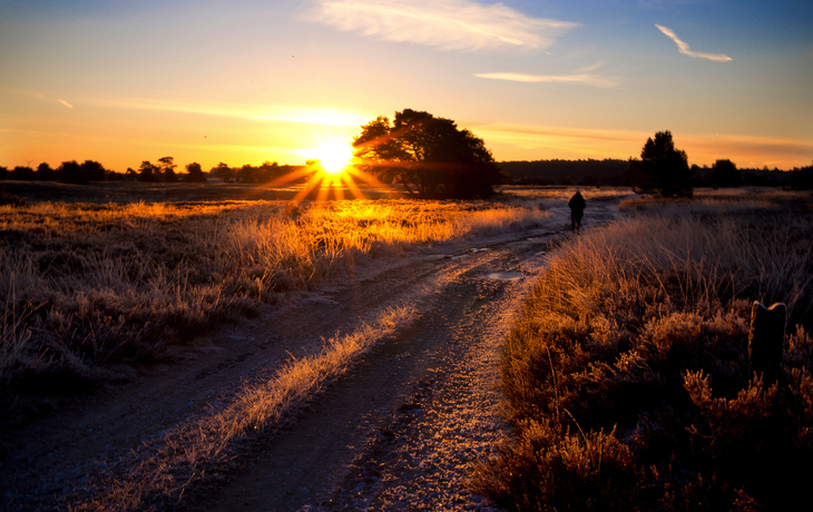 Schneebedeckte Landschaft unter hellem Himmel mit Wolken und fernen Bäumen. - © foto-select - stock.adobe.com