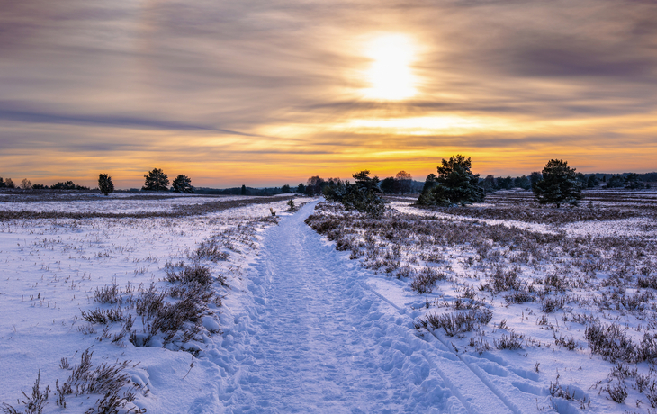 Schneebedeckte Landschaft unter hellem Himmel mit Wolken und fernen Bäumen. - © foto-select - stock.adobe.com
