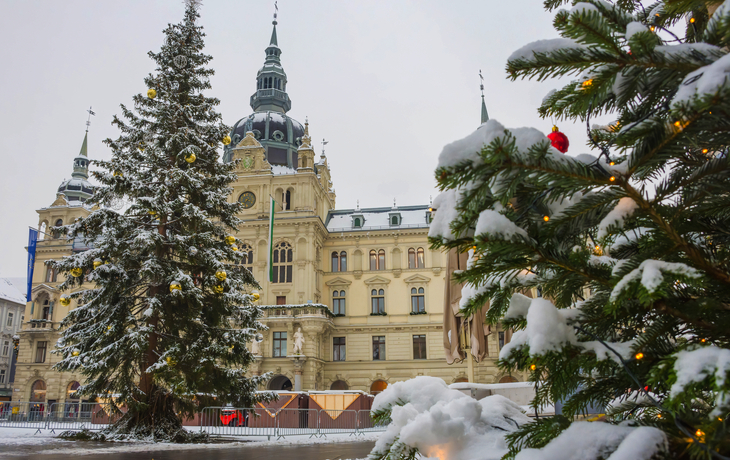 © Anatolii Lyzun/Shutterstock