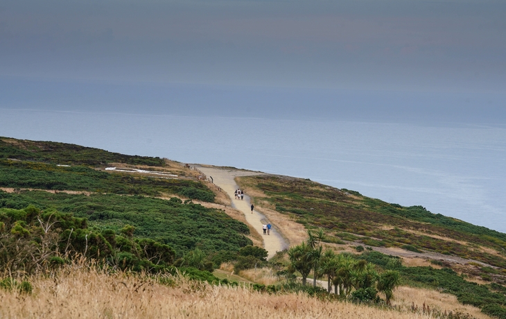 © Gabriela Insuratelu/Shutterstock