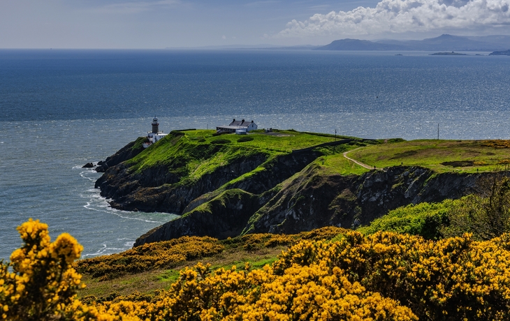 © Gabriela Insuratelu/Shutterstock