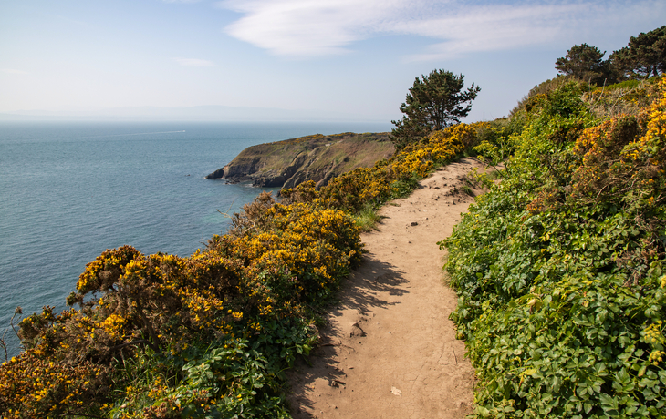 © Gabriela Insuratelu/Shutterstock