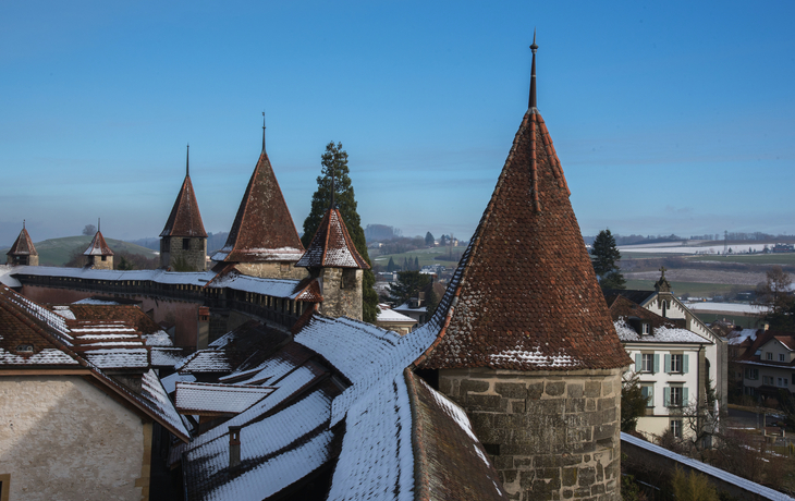 © Andy Lim/Shutterstock