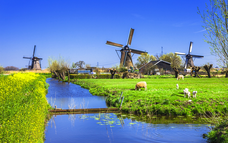 Mühlenlandschaft mit Schafen und Wassergraben unter blauem Himmel. - ©Freesurf - stock.adobe.com