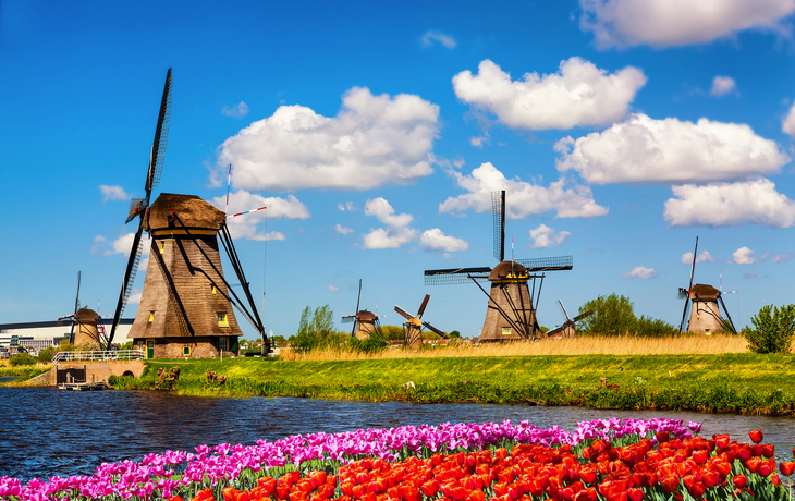 Mühlenlandschaft mit Schafen und Wassergraben unter blauem Himmel. - ©Freesurf - stock.adobe.com