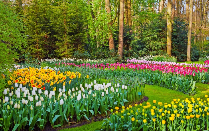 Mühlenlandschaft mit Schafen und Wassergraben unter blauem Himmel. - ©Freesurf - stock.adobe.com