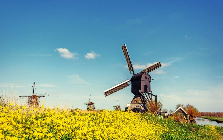 Mühlenlandschaft mit Schafen und Wassergraben unter blauem Himmel. - ©Freesurf - stock.adobe.com