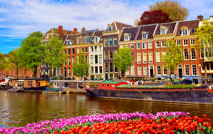 Kanalanlage in Amsterdam mit bunten Blumen und traditionellen Häusern im Hintergrund. - © Nikolay N. Antonov - stock.adobe.com