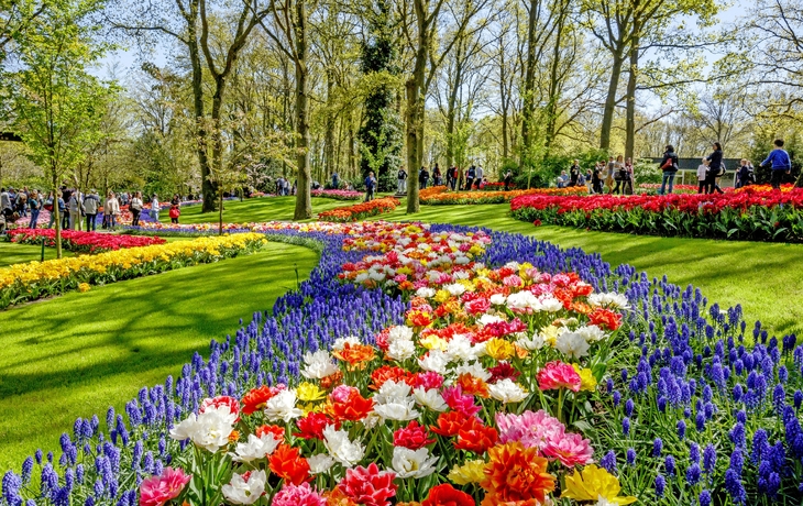 Kanalanlage in Amsterdam mit bunten Blumen und traditionellen Häusern im Hintergrund. - © Nikolay N. Antonov - stock.adobe.com