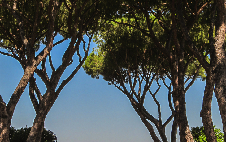 © ArTono/Shutterstock