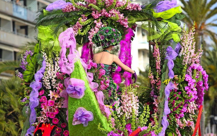 Person in bunter, ausgefallener Kostümierung mit Maske auf einem Festumzug. - © litchi cyril - stock.adobe.com