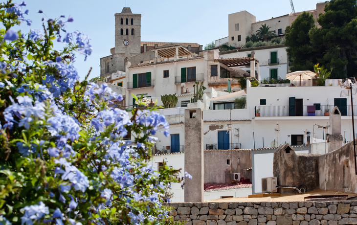 © Unai Huizi Photography/Shutterstock