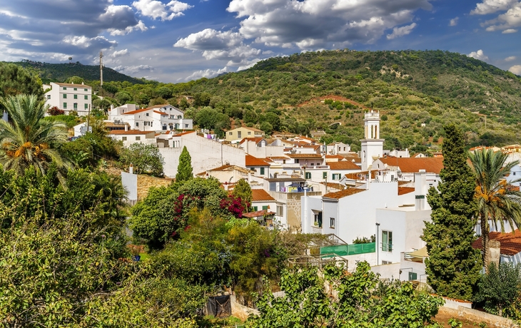 © davide bonaldo/Shutterstock