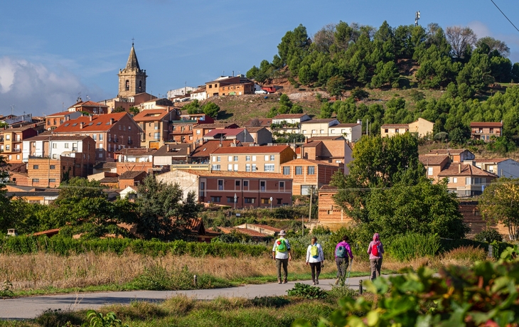 © Martin Schuetz/Shutterstock