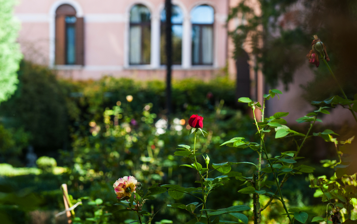 © Barabanschikow Alexander/Shutterstock