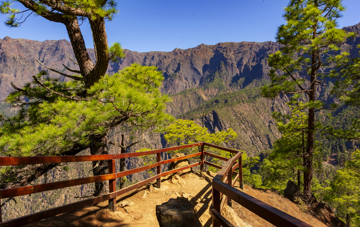 © Jose Miguel Sanchez/Shutterstock