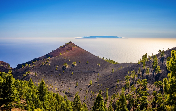 © Jose Miguel Sanchez/Shutterstock