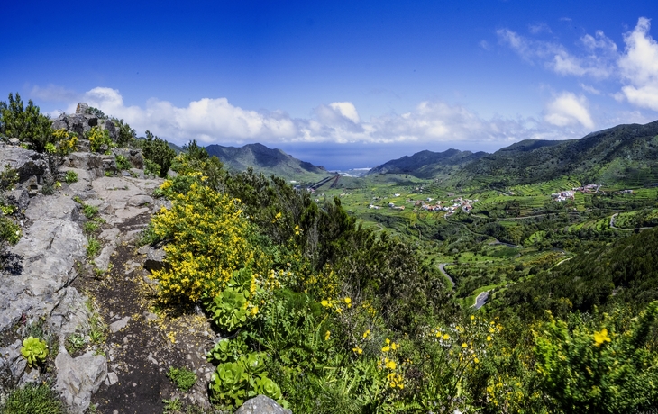 © Michal Hamet/Shutterstock
