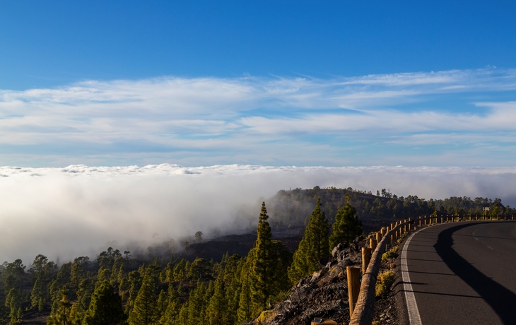 © Michal Hamet/Shutterstock