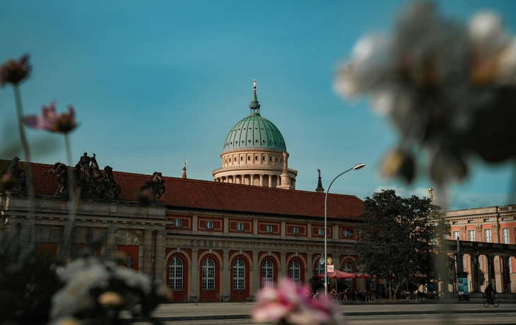 © Sina Ettmer Photography/Shutterstock