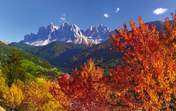 Berglandschaft im Herbst mit Sonne, blauen Himmel und gelblichen Bäumen im Vordergrund. - © Leonid Tit - stock.adobe.com