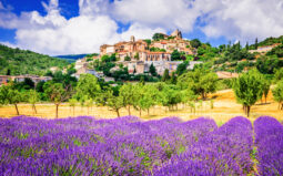 Provence Pur