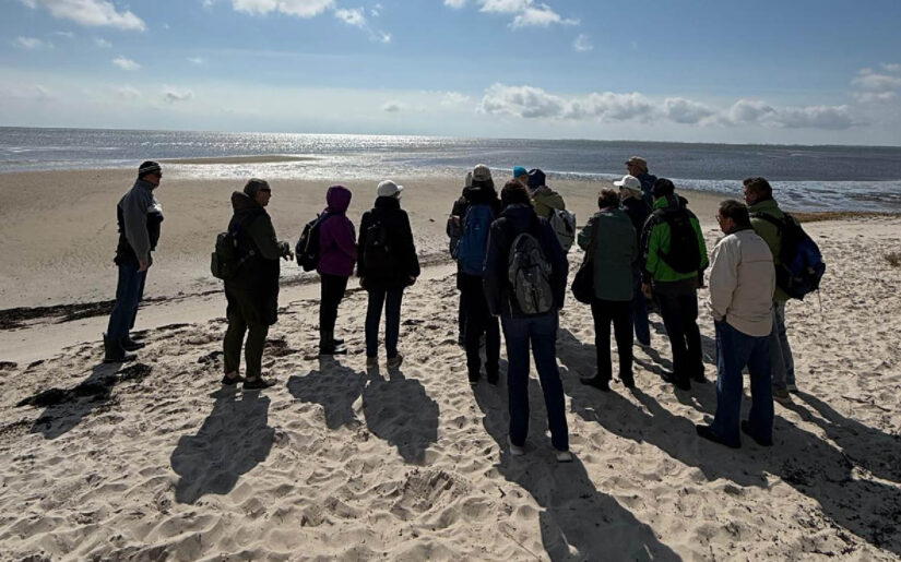 Insel Sylt Reisebericht