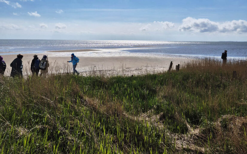 Insel Sylt Reisebericht