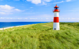 Watt & Hallig 